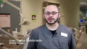 Dental Assisting | SPSCC