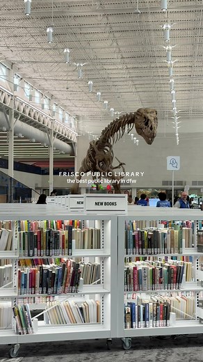 Frisco Public Library: Best Study Spot in DFW