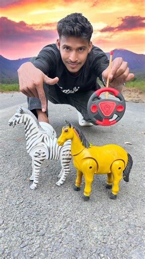 1 Remote Control Zebra and Rc Horse 🐴 Unboxing Oylo 😛