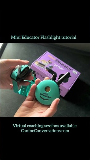 How to turn on Flashlight - Mini Educator E-collar Tutorial