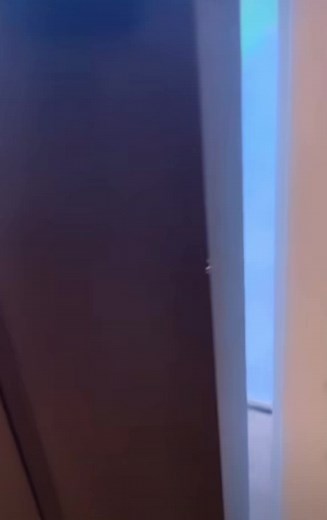 Funny Videos That Will Make You Laugh Out Loud