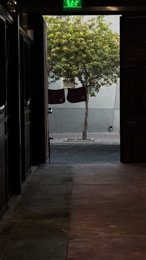 ‏Feels so good to be back here✨#stable