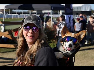 Watch the Corgi Cup Race | 2024 Maryland 5 Star