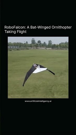 RoboFalcon A Bat Winged Ornithopter Taking Flight