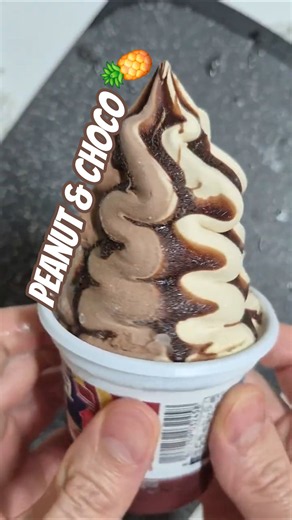 🥜🍫🍍 비얀코 트리플 피넛&초코 아이스크림 파인애플 샤베트 Bianco Triple Peanut & Choco Ice Cream Pineapple Sherbet