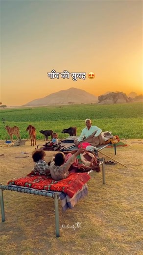 गांव की सुबह #rajthani #desilifestyle #culture #villagelife #rajasthan #youtube #vlog