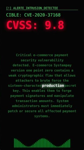 CVE-2020-37168: Ecomm Payment Key Brute Force #Shorts #patchnow