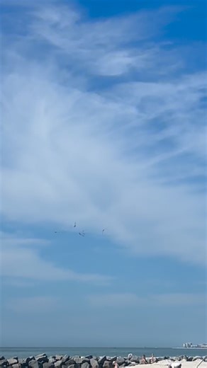 10 red knots came in. 10 red knots took back to the skies. 🥹 These little athletes make one of the longest bird migrations on Earth, so seeing them grounded and unable to stand or fly was heartbreaking. But watching their progression from wobbly legs, to short flutters, to finally earning their green light for release… unreal. For the month they were with us, they received all the nutrition, medication, and careful interaction we could give - and it paid off. Now we celebrate ten tiny miracles 
