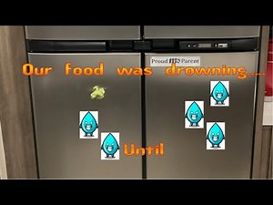 NORCOLD 2118SST RV FRIDGE REPAIR