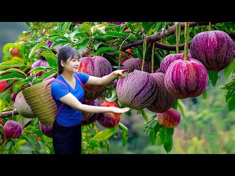 Harvesting rare glowing marina apples - Cooking 50kg of the most delicious giant pork belly