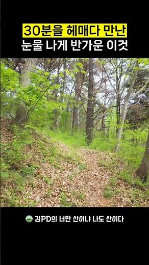 This incredibly welcome find after wandering for 30 minutes #SunchangTravel #Muryangsan #HikingCo...