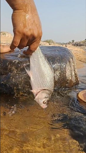 Tandoori Fish #viral #fish #tandoorifish