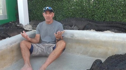Paul chillin’ with Muttley, Zeus, and Debo in the gator pit here at the park. Do these alligators want to KILL Gatorboys Paul right now, or what?! 🐊 #alligator #gator #croc #EHP #paulbedard #gatorboys #evergladesholidaypark #thingstodo #florida #floridalife #alligatorrescue #gatorboysalligatorrescue | Everglades Holiday Park