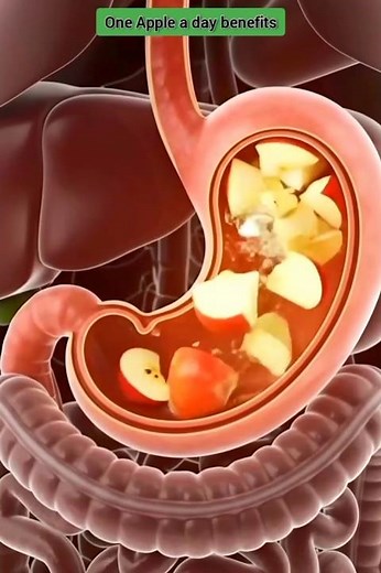 What Happens Inside Your Body After Eating Apples?#healthylife #apple