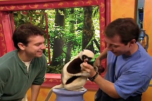 Zoboomafoo 221 - Powerhouse (Full Episode)