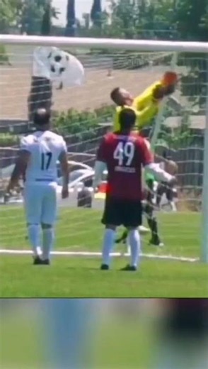 Fútbol Elegante: Técnicas y estrategias para dominar