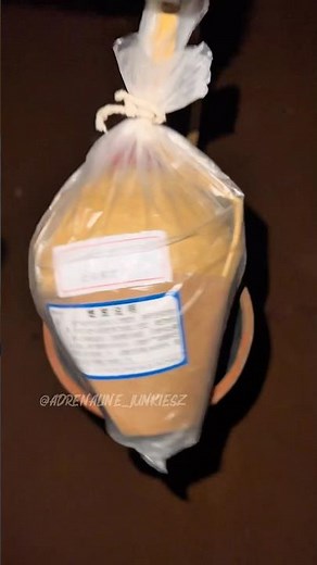 5” Inch 125mm Shell gold willow 🔥 #shell #fireworks #vuurwerk