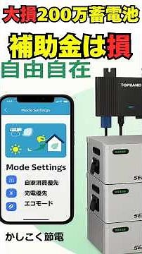 You Will Lose a Fortune in 10 Years: The Truth About ¥2 Million Subsidized Storage Batteries #Sek...