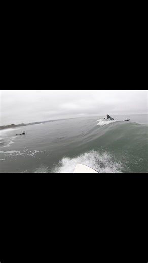 Last Wave in 2ft Surf