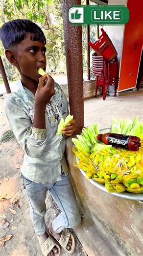 বিশ্বাসই হবে না! মাত্র ১০ বছর বয়সে সংসারের দায় কাঁধে তুলে নিলো—শসা বেচে অসাধারণ কাজ করল শিশুটি 😢💔