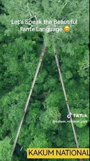 Exploring Kakum National Park: A Fante Adventure