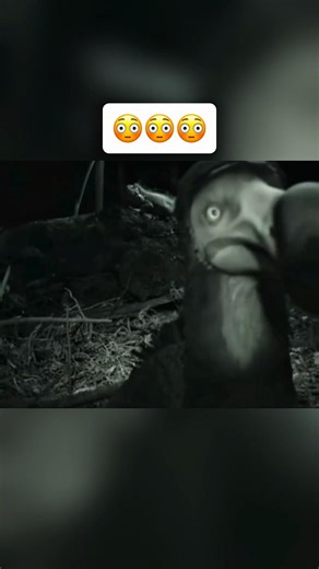 Extinct Animals Caught On Camera 🤯