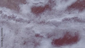 white mold on the surface of a cured sausage (fungus of the genus Penicillium) - light microscope x50 magnification