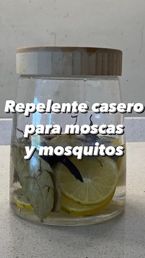 Repelente casero para Moscas y Mosquitos 🦟 Facil y practico, envíaselo a ese amigo anti mosquitos 😂 Vas a necesitar para esta preparación : Vinagre de alcohol Limón Laurel Espiral | Pata Pán y Cuchillo