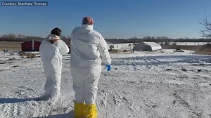 'There were no signs:' Suburban farm owners in shock after bird flu decimates flock