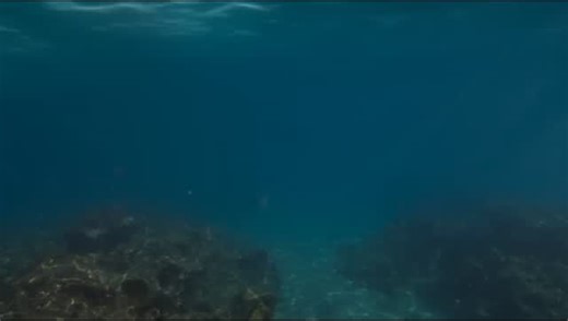 RedFox CineFlix on Instagram: "The official trailer for "#TheDinosaurs" Netflix series is out! 🎥 This four-part documentary series, executive produced by Steven Spielberg, takes you on an epic journey through the age of dinosaurs, showcasing breathtaking visuals and fascinating facts. Narrated by Morgan Freeman, the series explores the rise and fall of these magnificent creatures, from the early Marasuchus to the mighty Tyrannosaurus rex "The Dinosaurs" premieres on Netflix on March 6, 2026."