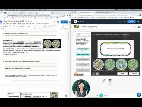 Genetic Engineering Gizmo Instructions