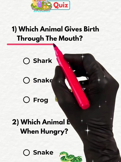 Amazing Animal Facts Quiz: Test Your Knowledge!