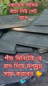 "কোয়েল পাখির খাঁচার নতুন সেটআপ৫ মিনিটে মলমূত্র পরিষ্কার!|Quail Cage Setup#shorts#smart_agro_farming