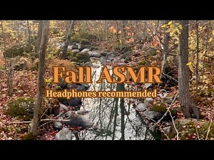 Fall ASMR 🍁 – Relaxing Autumn Sounds for Sleep & Cozy Vibes