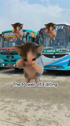 This Is Why Good Editing Matters...... #bussewa #fyp #shorts #travel #trending