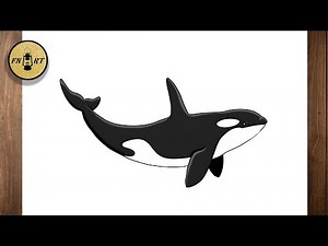How to draw a Killer Whale Orca easy drawing for beginners step by step