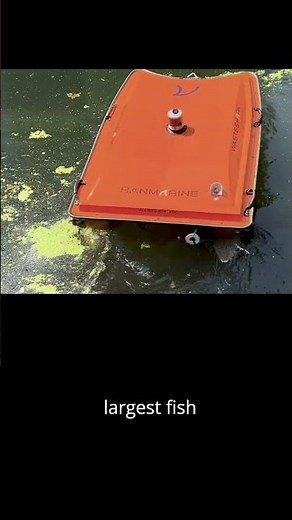 Meet the little robot cleaning up the seas