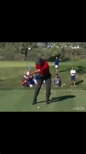 Today we are talking about iron play and a simple lead wrist move to stop chunking your iron shots. Fault- the club head hitting the ground before the golf ball and thinned/fat shots. Fix- Focus on the right wrist and the left shoulder. #golfdrill #golfdrills #golfpractice #practicegolf #golflessons