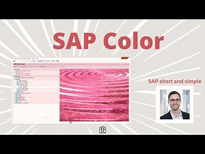 Beautiful SAP GUI Colors | Change SAP GUI Color easily