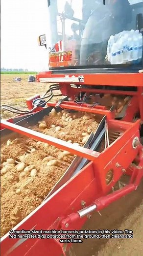 A Medium-Sized Machine for Efficient Potato Harvest