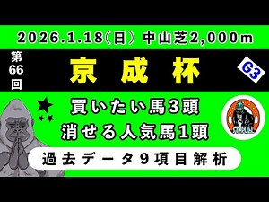 【京成杯2026】過去データ9項目解析!!(競馬予想)