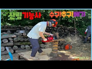 산림기능사 실기(수구/추구베기)