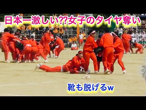 日本一の激しさ！（多分・・・）女子のタイヤ奪いがスゴイ！【体育祭・運動会】