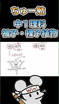 【中1理科】被子植物、裸子植物を一発理解！