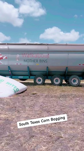 South Texas Corn Crop! Were bagging corn and its not for everyone. #JohnDeere #walkaboutmotherbin4000 #motherbin #CornCrop2023 #AkronGTT4010 #baggingcorn #Rtic #rticcoolers #texas #summerheat #texascornharvest #cornharvest #cornharvest2023