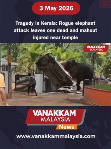 Tragedy in Kerala: Rogue elephant attack leaves one dead and mahout injured near temple #latest #vanakkammalaysia #tragedy #kerala #rogue #elephant #attack #neartemple #trendingnewsmalaysia #malaysiatamilnews​ #fyp​ #vmnews​ #foryoupage