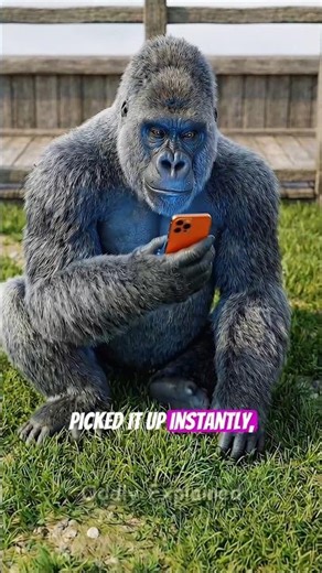 She Dropped Her iPhone in a Gorilla Cage… Watch What Happens! 😱🦍 #shorts