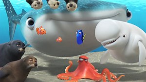 Finding Dory Band Aid Pro Social