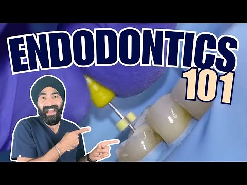 Endodontics Basics - Foundations of RCT - PS017