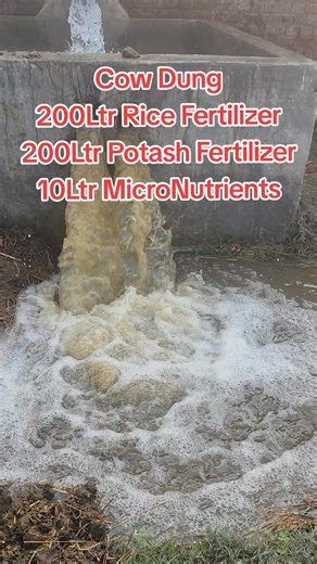 100% Organic Fertilizers for Wheat Crop Growth